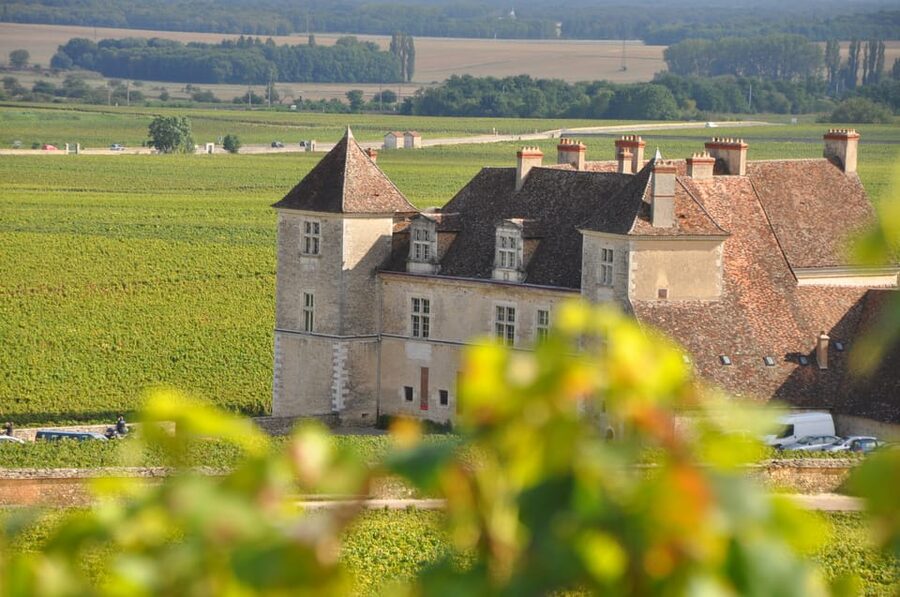 Burgundy Wines Full-Day Tasting Tour from Dijon - Why this Burgundy tour works from Dijon