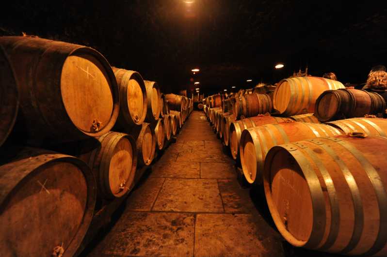 Burgundy Wines Full-Day Tasting Tour from Dijon - The Corton hills and the Côte de Beaune