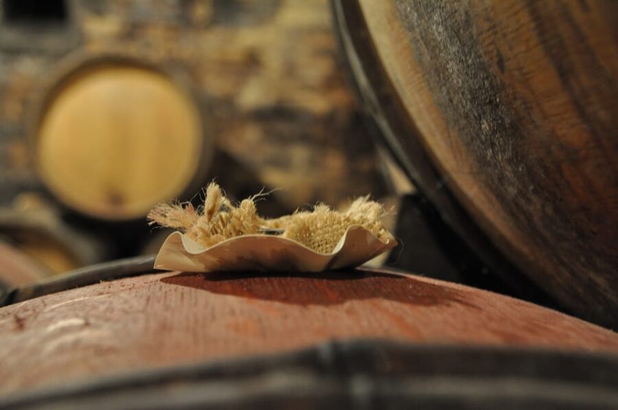 Burgundy Wines Full-Day Tasting Tour from Dijon - Two hours in Beaune, Burgundy’s wine capital