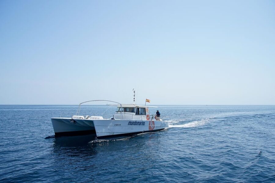 Calpe: Sunset Cruise with Sparkling Wine - Language, Timing, and What to Bring