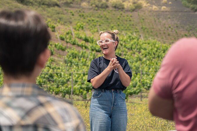 Canarian Wine Experience at Bodega los Lirios - A Gran Canaria wine stop with a volcanic backdrop