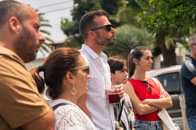 Canarian Wine Experience at Bodega los Lirios - What makes the family setting valuable