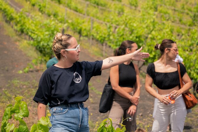 Canarian Wine Experience at Bodega los Lirios - Is $19.31 a fair price?