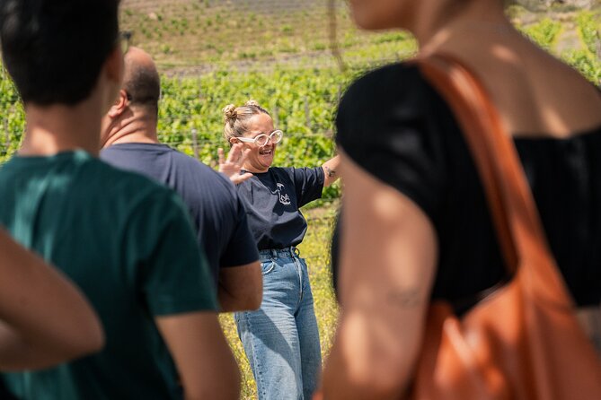 Canarian Wine Experience at Bodega los Lirios - Who will enjoy Bodega Los Lirios most?