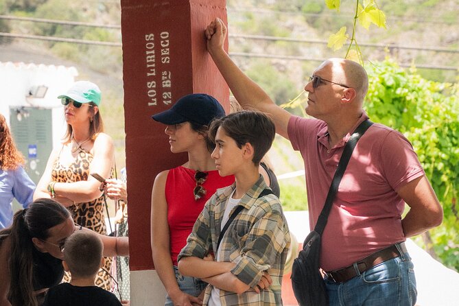Canarian Wine Experience at Bodega los Lirios - The views around Bandama Volcano