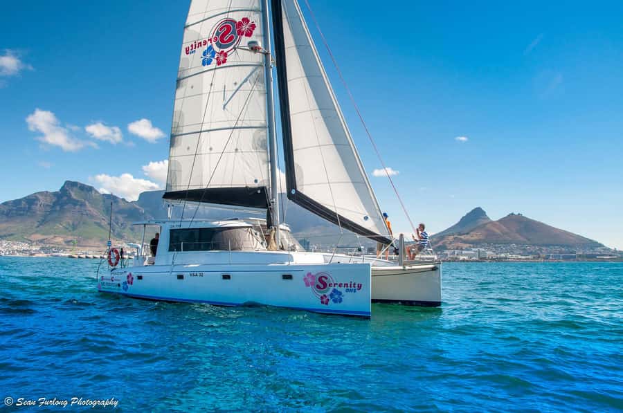 Cape Town: 1-Hour Pre-Sunset Champagne Cruise - Leaving the V&A Harbour Before Dinner