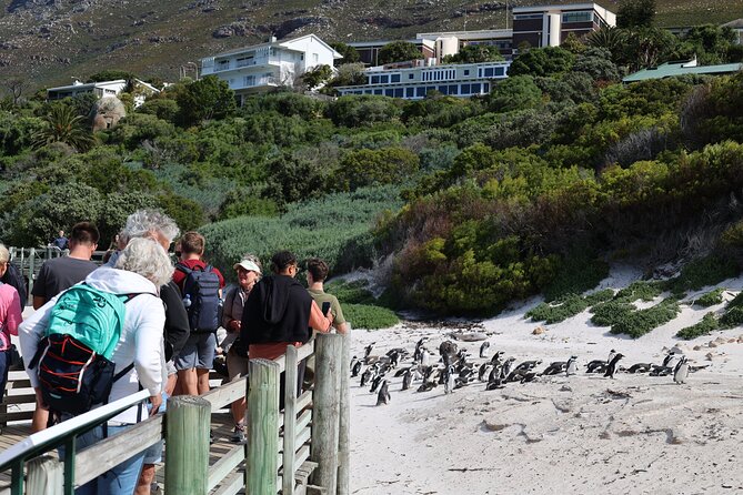 Cape Town: Cape of Good Hope, Table Mountain & Wine Tasting Tour - Table Mountain and the cableway