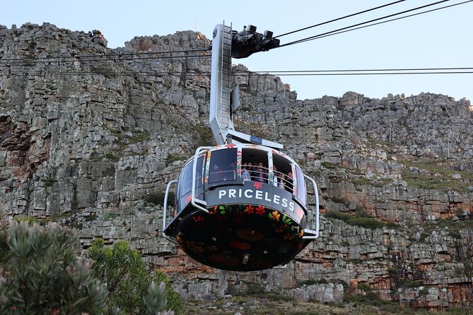 Cape Town: Cape of Good Hope, Table Mountain & Wine Tasting Tour - Boulders Beach and the African penguin colony