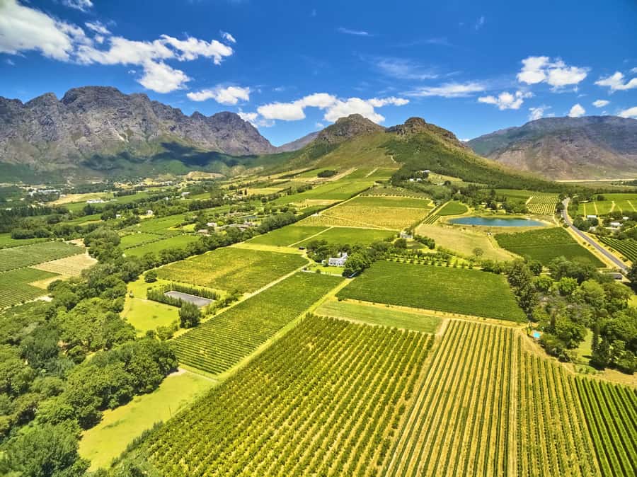 Cape Town: Full-Day Wine Tasting Tour with Wine Tram - Franschhoek: lunch and time to wander
