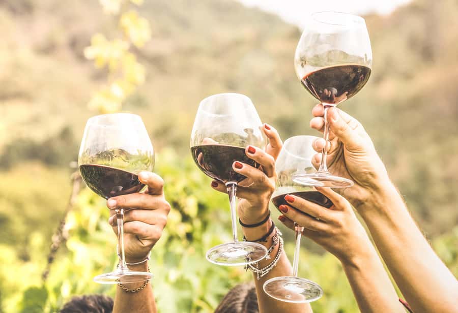 Cape Town: Full-Day Wine Tasting Tour with Wine Tram - The Franschhoek wine tram: fun, scenic, and time sensitive