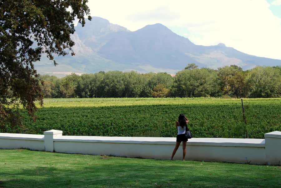 Cape Town: Full-Day Winelands Tour with Wine Tastings & Food - Why this is a smart way to see the Cape Winelands
