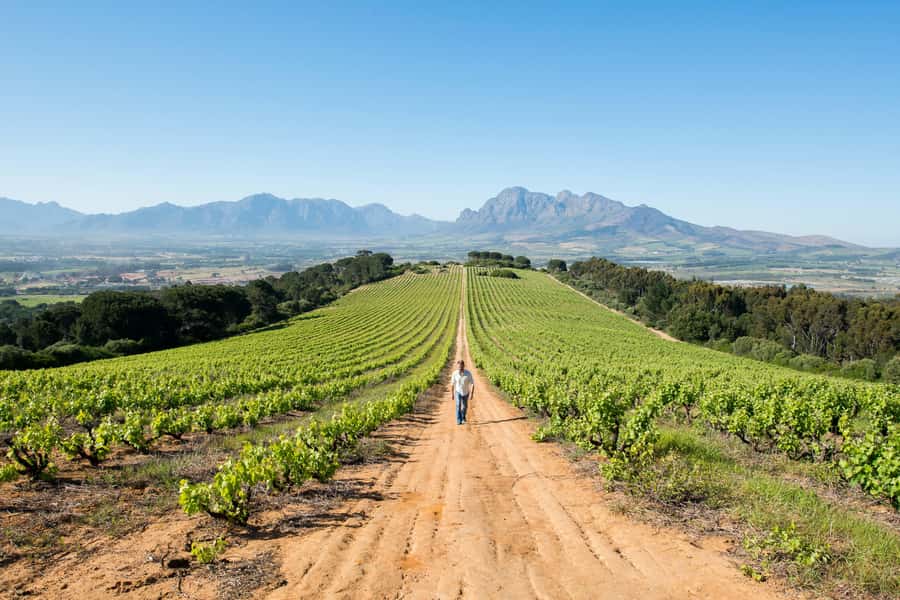 Cape Town: Full-Day Winelands Tour with Wine Tastings & Food - Franschhoek brings the French connection