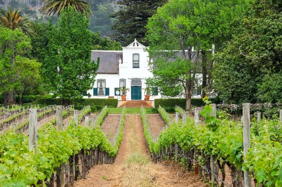 Cape Town: Guided Winelands Tour & Tasting in Stellenbosch - Key points at a glance