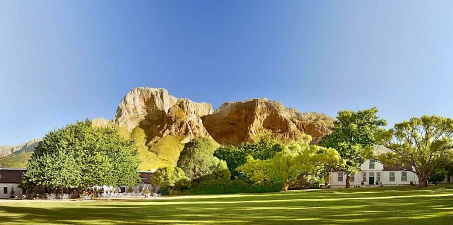 Cape Town: Guided Winelands Tour & Tasting in Stellenbosch - What the guides add