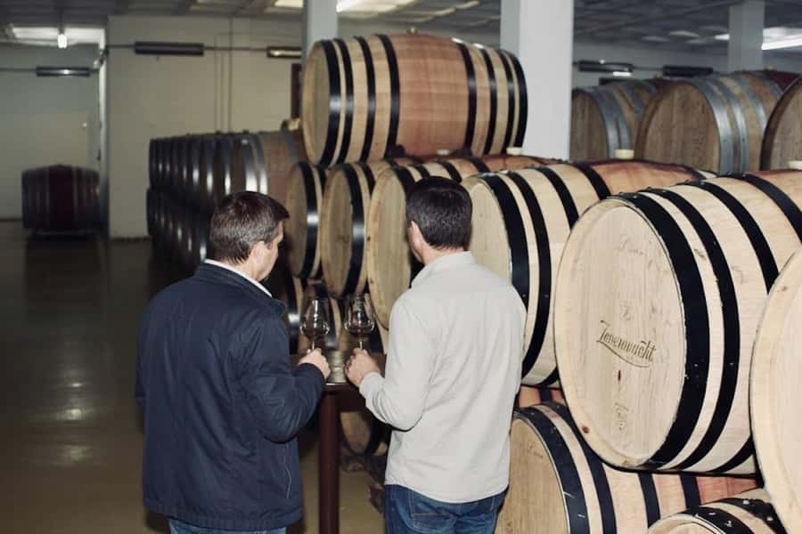Cape Town: Guided Winelands Tour & Tasting in Stellenbosch - How the $83 price measures up