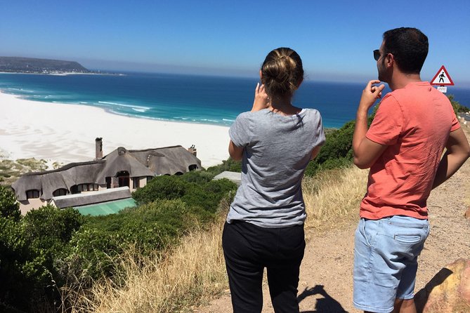 Cape Town Peninsula Day Tour ( Cape Point/Boulders/Wine Tasting) - One day, four sides of Cape Town
