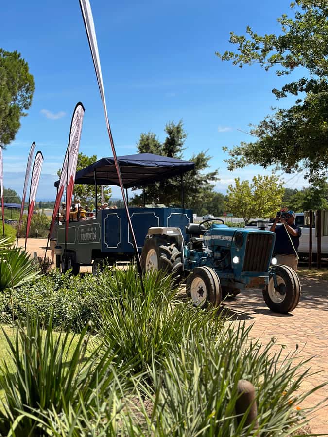 Cape Town: Stellenbosch Hop-On Hop-Off Tractor Transfer - Key points at a glance