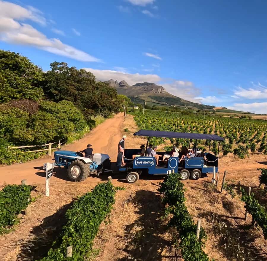 Cape Town: Stellenbosch Hop-On Hop-Off Tractor Transfer - What happens before the first tractor leaves