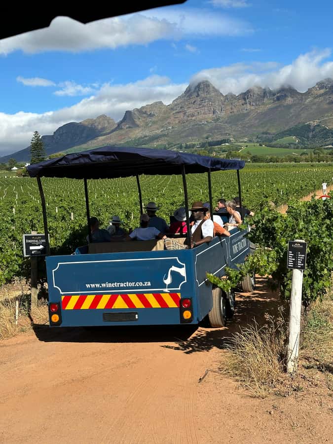 Cape Town: Stellenbosch Hop-On Hop-Off Tractor Transfer - The best way to use the hop-on-hop-off format