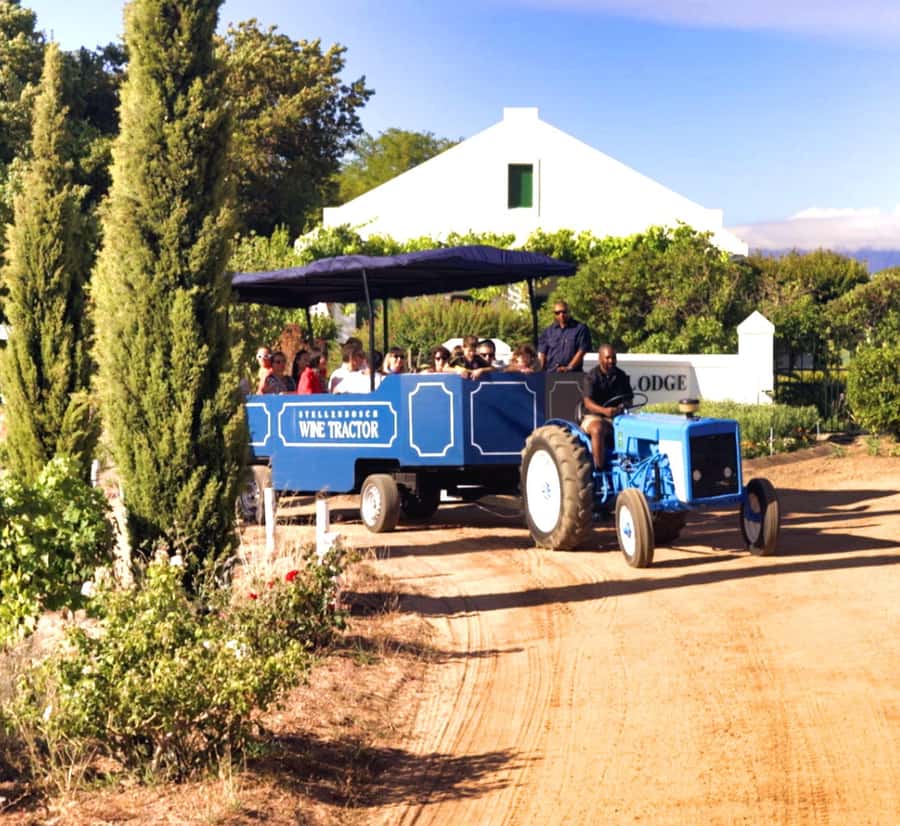 Cape Town: Stellenbosch Hop-On Hop-Off Tractor Transfer - A full day built around 65-minute stops