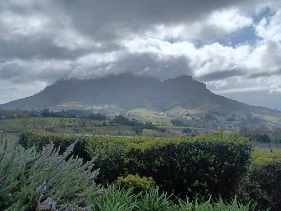 Cape Town: Stellenbosch Wine Half-Day Tour - What to bring and what to leave behind