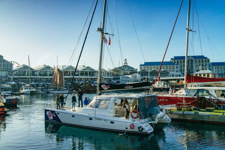 Cape Town: Sunset Champagne Cruise and 3-Course Dinner - Should you book the Cape Town sunset cruise and dinner?