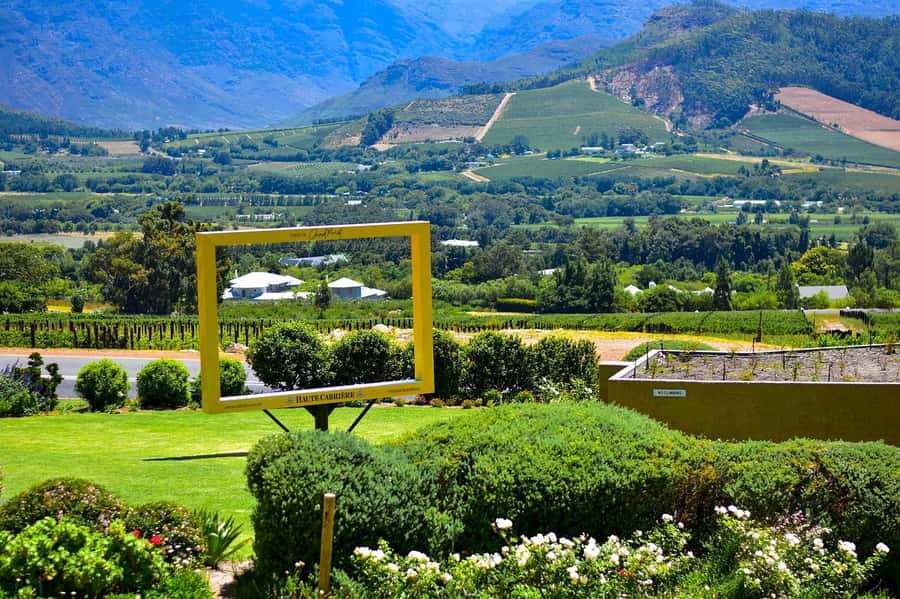 Cape Town: Wine Tram & Winelands Tour with Tastings & Pickup - What the transport and guide service are like