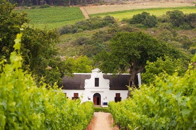 Cape Winelands and Wine Tasting Full Day Tour - What this full-day Cape Winelands trip actually gives you