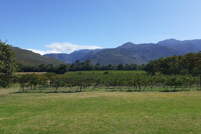 Cape Winelands and Wine Tasting Full Day Tour - Fairview: cheese, wine, and a strong opening stop