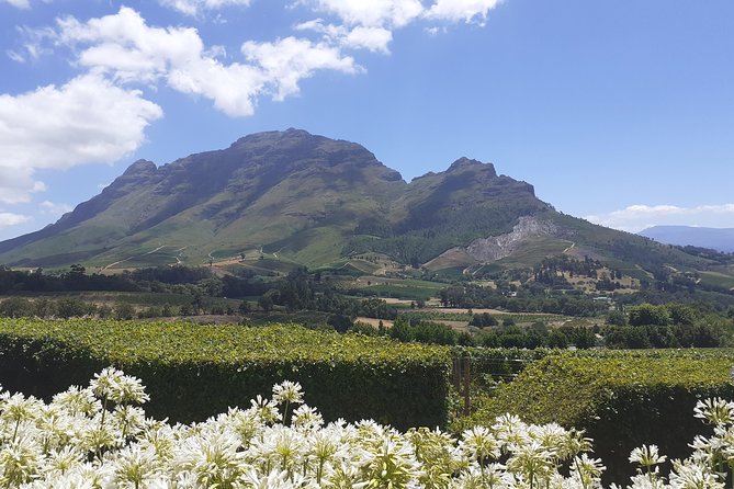 Cape Winelands and Wine Tasting Full Day Tour - Franschhoek: a town break between tastings