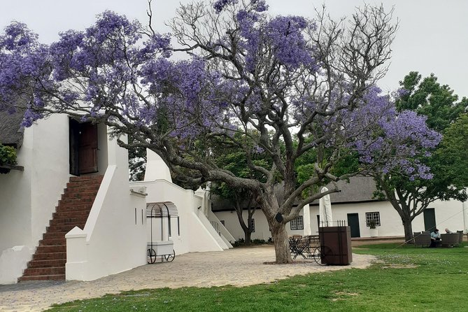 Cape Winelands and Wine Tasting Full Day Tour - Marianne Wine Estate: red wine with a South African twist