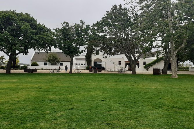 Cape Winelands and Wine Tasting Full Day Tour - Stellenbosch: oak trees, Cape Dutch buildings, and a final walk