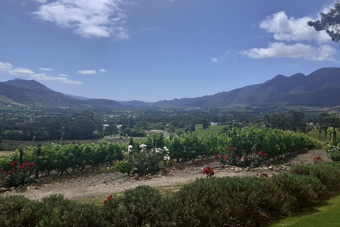 Cape Winelands and Wine Tasting Full Day Tour - The guide can make or break the day