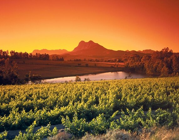 Cape Winelands Explore Full Day Tour with Private Transfer - Key points to know before you book