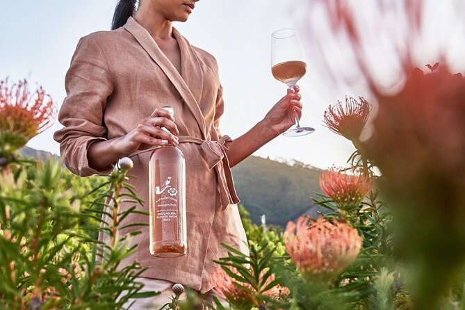 Cape Winelands Explore Full Day Tour with Private Transfer - What your guide adds to the day