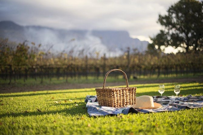 Cape Winelands Explore Full Day Tour with Private Transfer - Price, timing, and what you actually receive