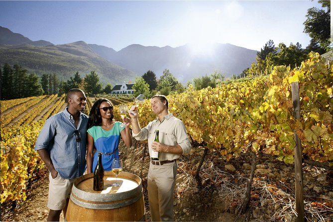 Cape Winelands Private Tour to Stellenbosch and Franschhoek - What the guide adds to the day