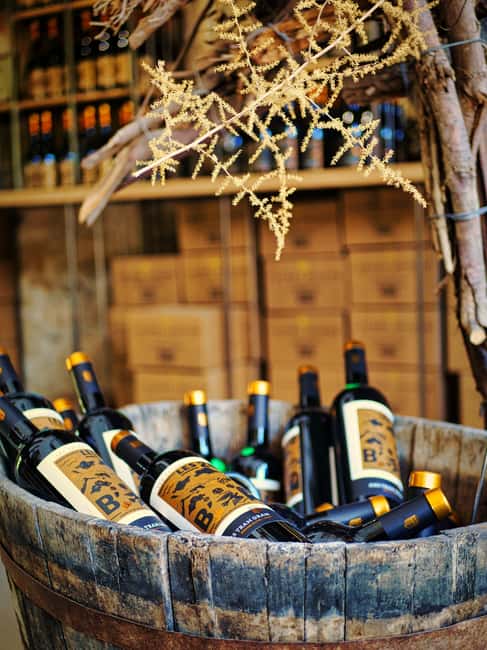 Carcassonne: Solex tour with guide and wine tasting - Why a Solex makes this Carcassonne tour different