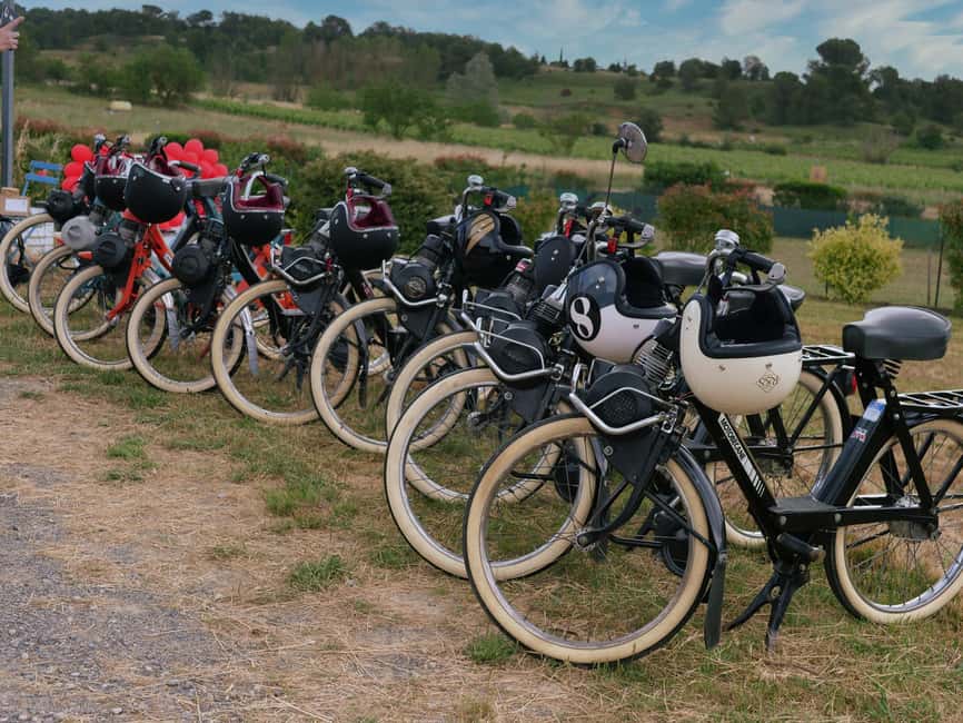 Carcassonne: Solex tour with guide and wine tasting - Out through the garrigue and vineyards