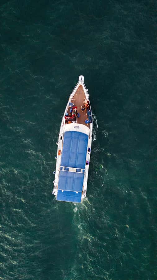 Cartagena: Cruise by the Bay with Dinner and Wine - Practical Advice Before You Book
