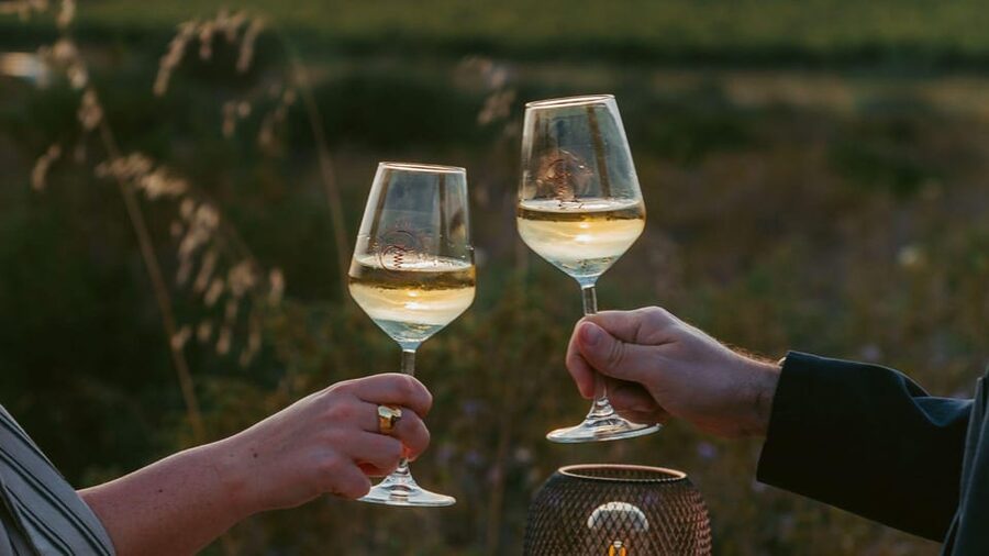 Castelsardo: visit a vineyard with wine tasting at sunset - A vineyard evening 8 kilometers from Castelsardo