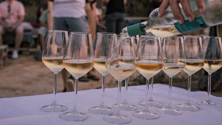Castelsardo: visit a vineyard with wine tasting at sunset - Practical comfort, pets, and access