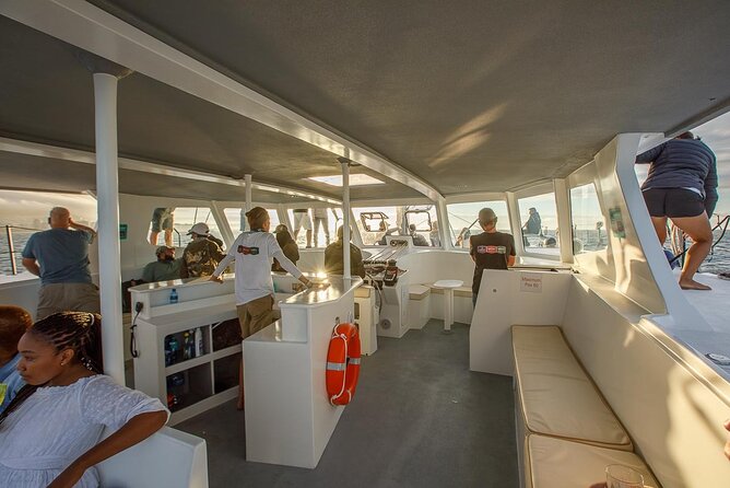 Catamaran Sunset Champagne Cruise Cape Town - Wildlife is possible, but never promised