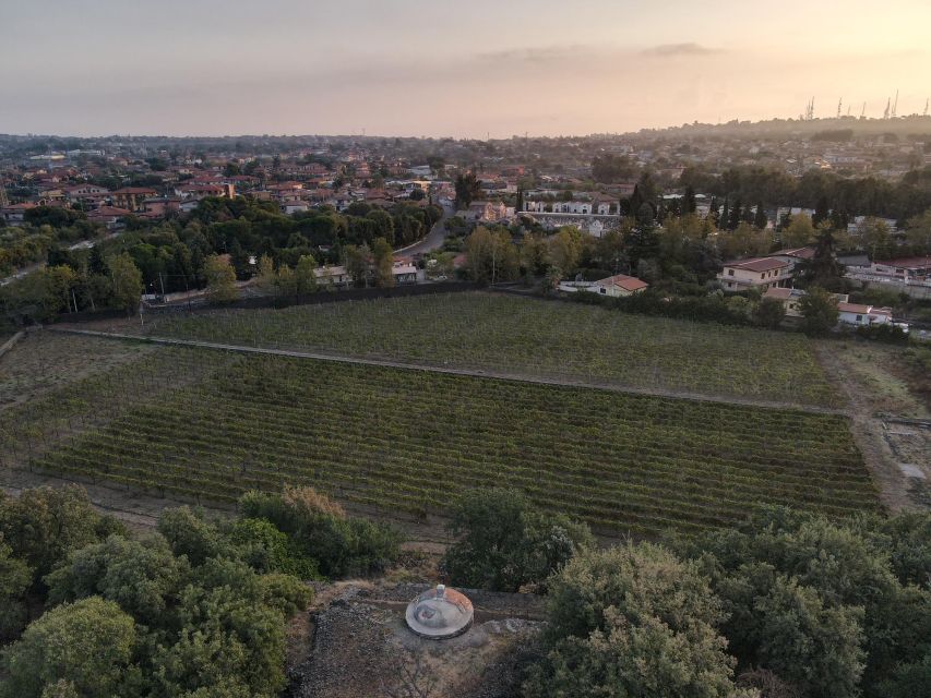 Catania: Etna Urban Winery Sicilian Lunch with Wine Tasting - Who will enjoy this experience most?