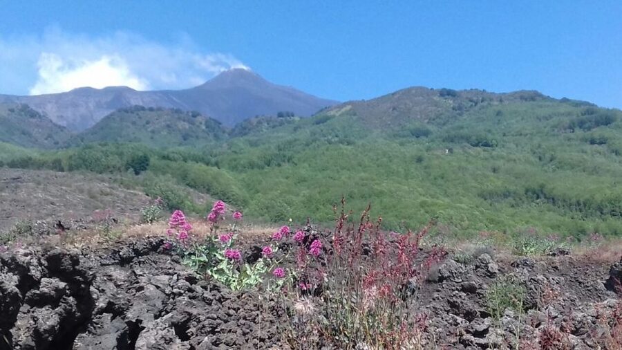 Catania: Mount Etna Sunset Tour and Etna Doc Wine - Why this Etna sunset tour works