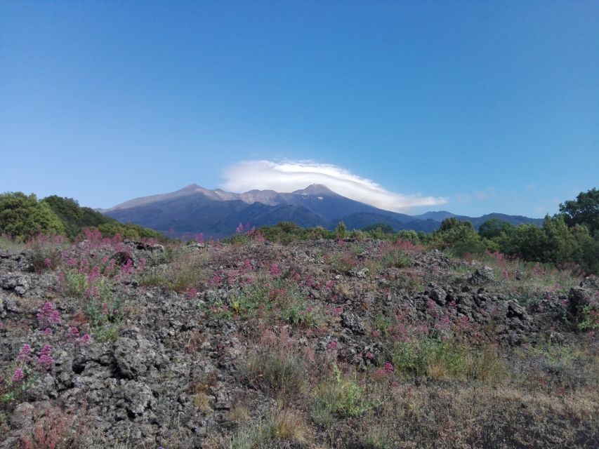 Catania: Mount Etna Sunset Tour and Etna Doc Wine - Sunset, wine, and Sicilian snacks at Piano Vetore
