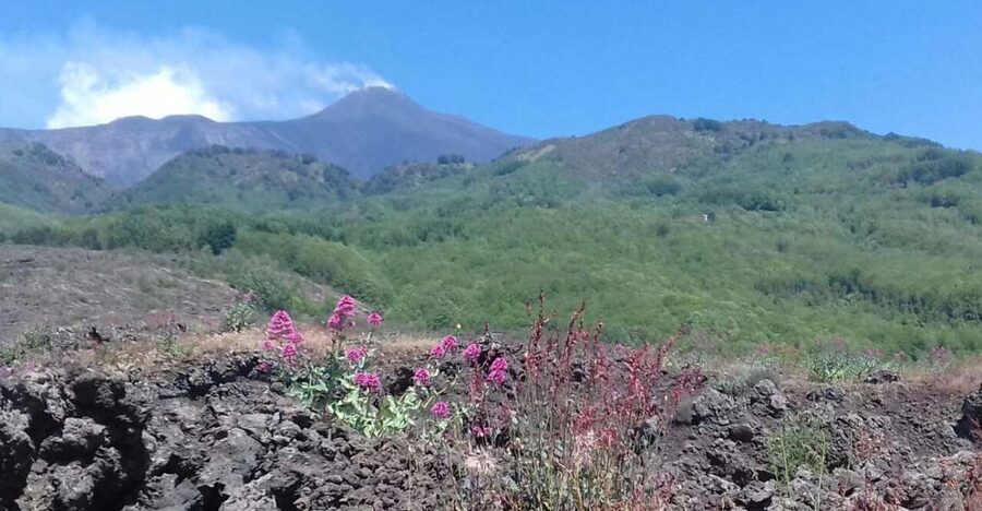 Catania: Mount Etna Sunset Tour and Etna Doc Wine - What the 4x4 ride is really like