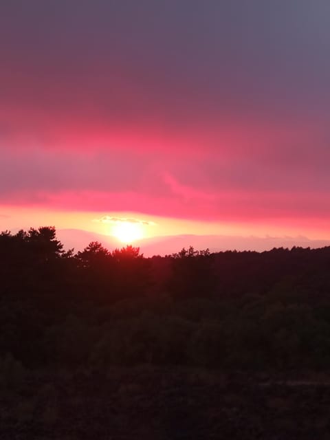 Catania: Mount Etna Sunset Trekking with Wine Tasting - What the guides add to the experience