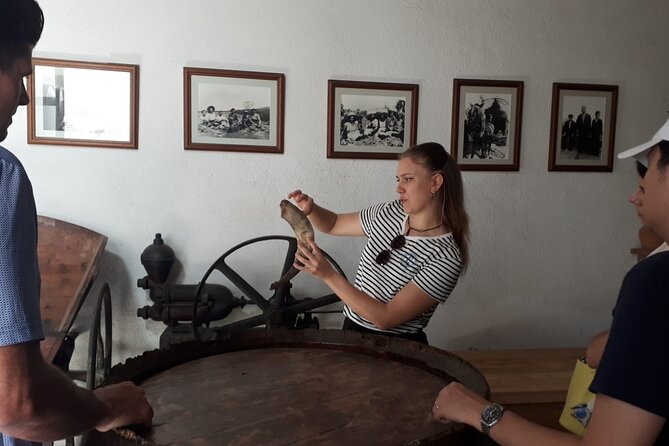 Cava tour to 3 family wineries with hotel pick-up - Why this cava day works so well from Barcelona