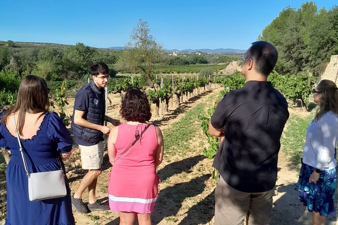 Cava tour to 3 family wineries with hotel pick-up - Is the $211.72 price fair?